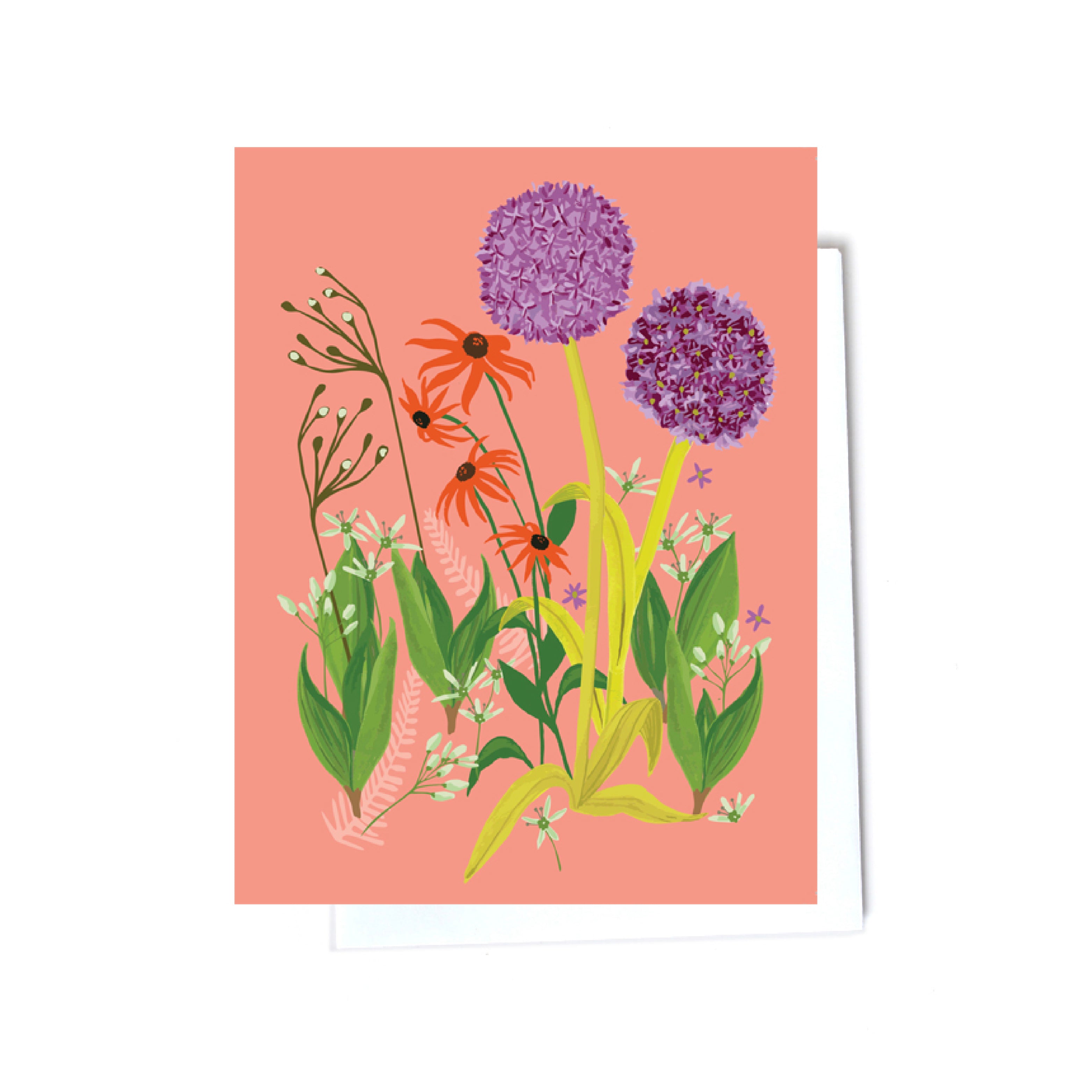 Floral boxed set illustrated cards front