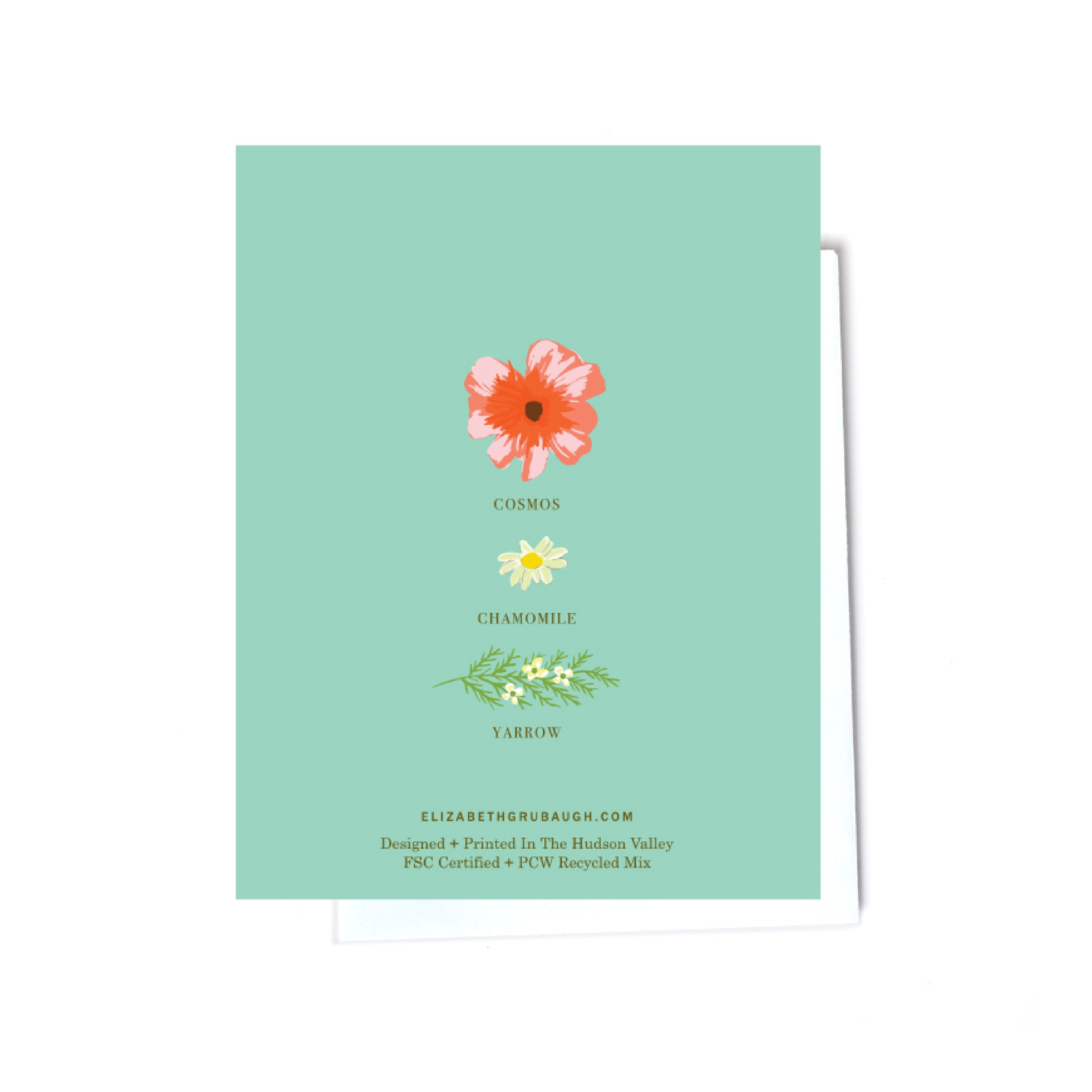 Floral boxed set illustrated cards back