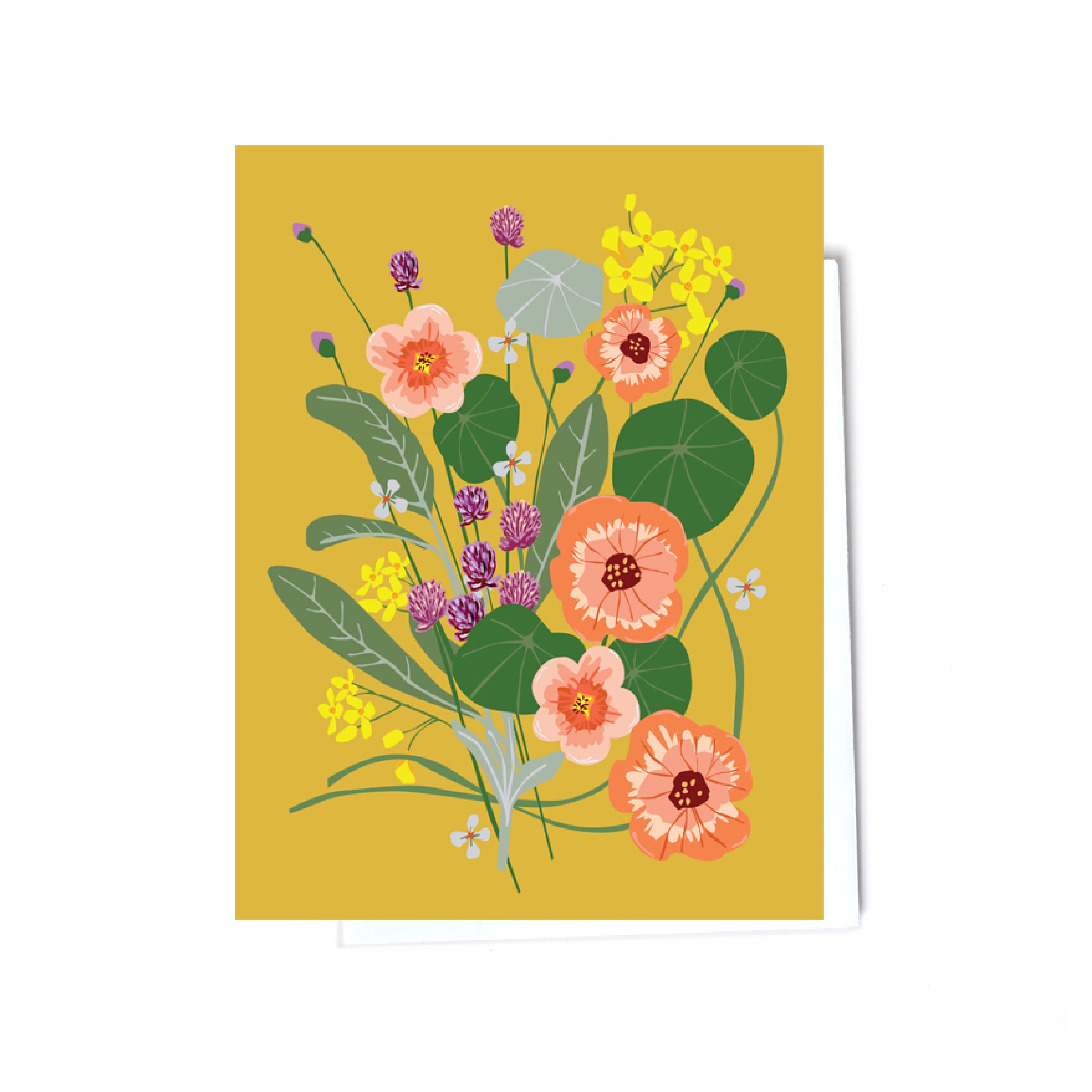 Floral boxed set illustrated cards front