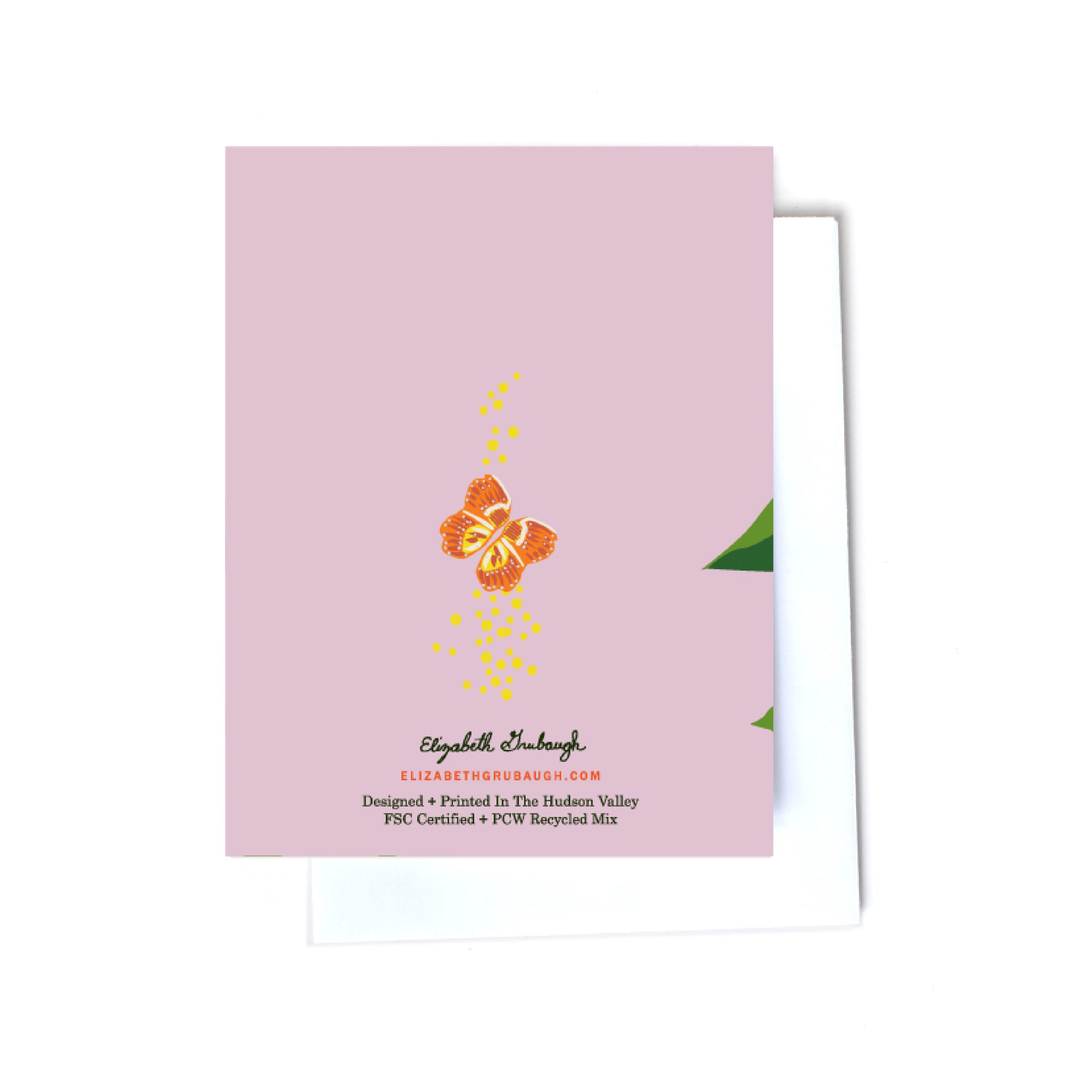 floral illustrated cards back