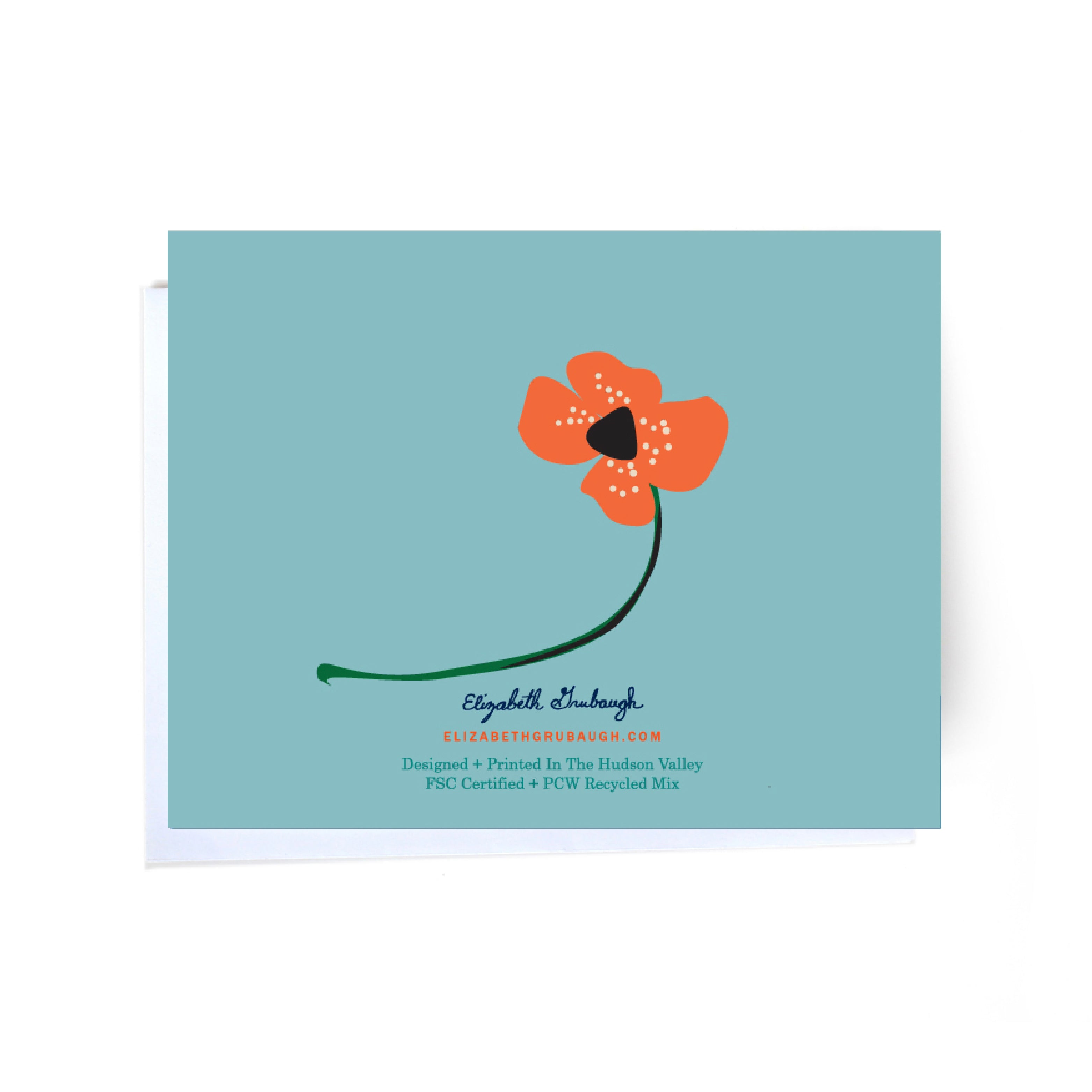 new baby illustrated cards back