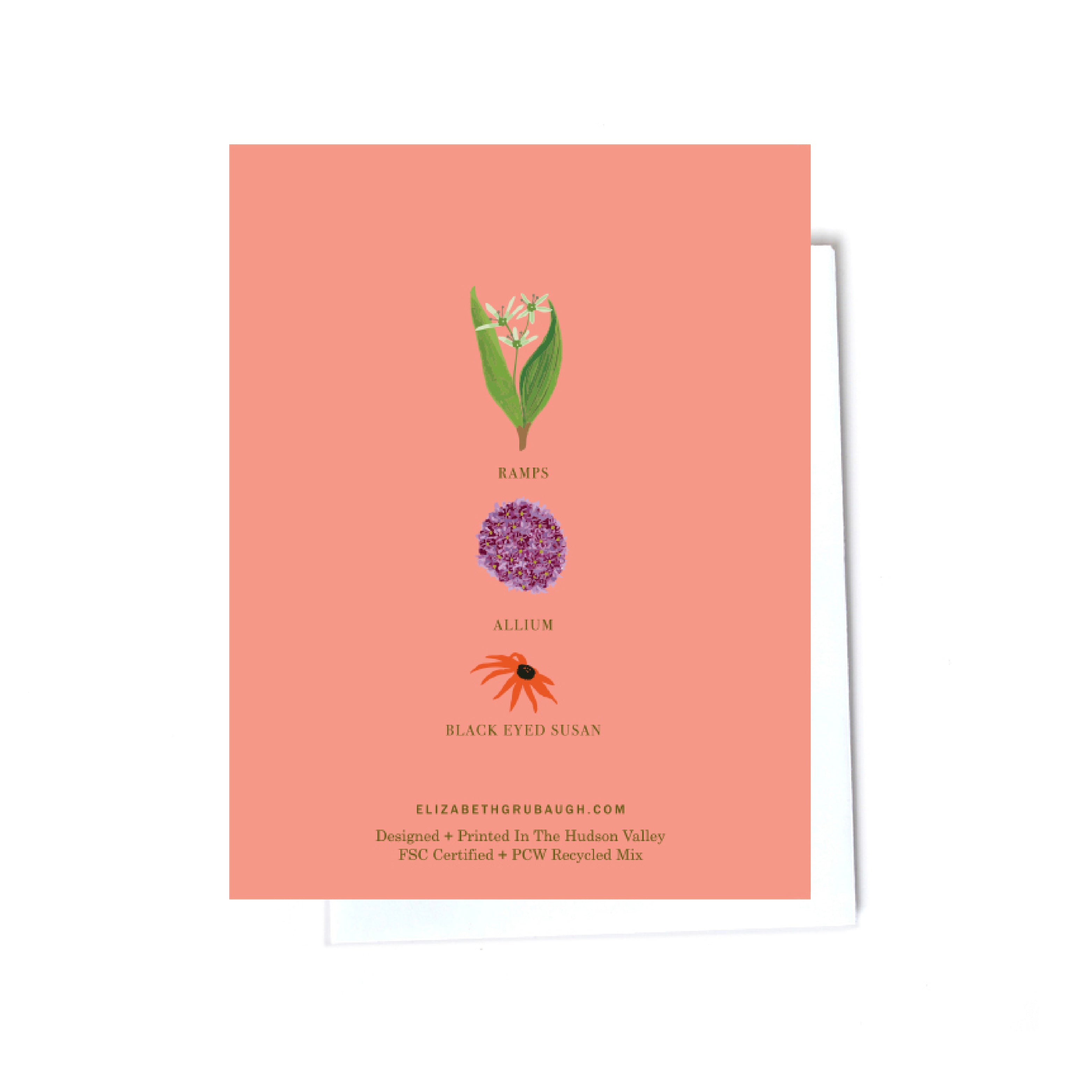Floral boxed set illustrated cards back