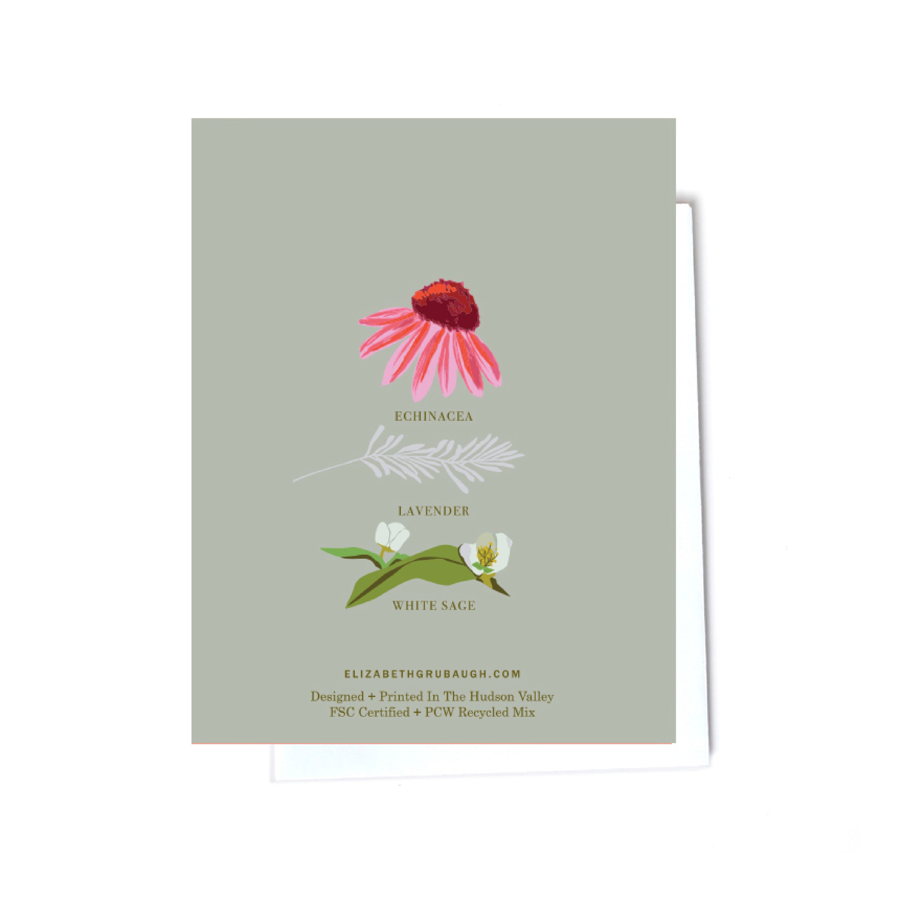 Floral boxed set illustrated cards back