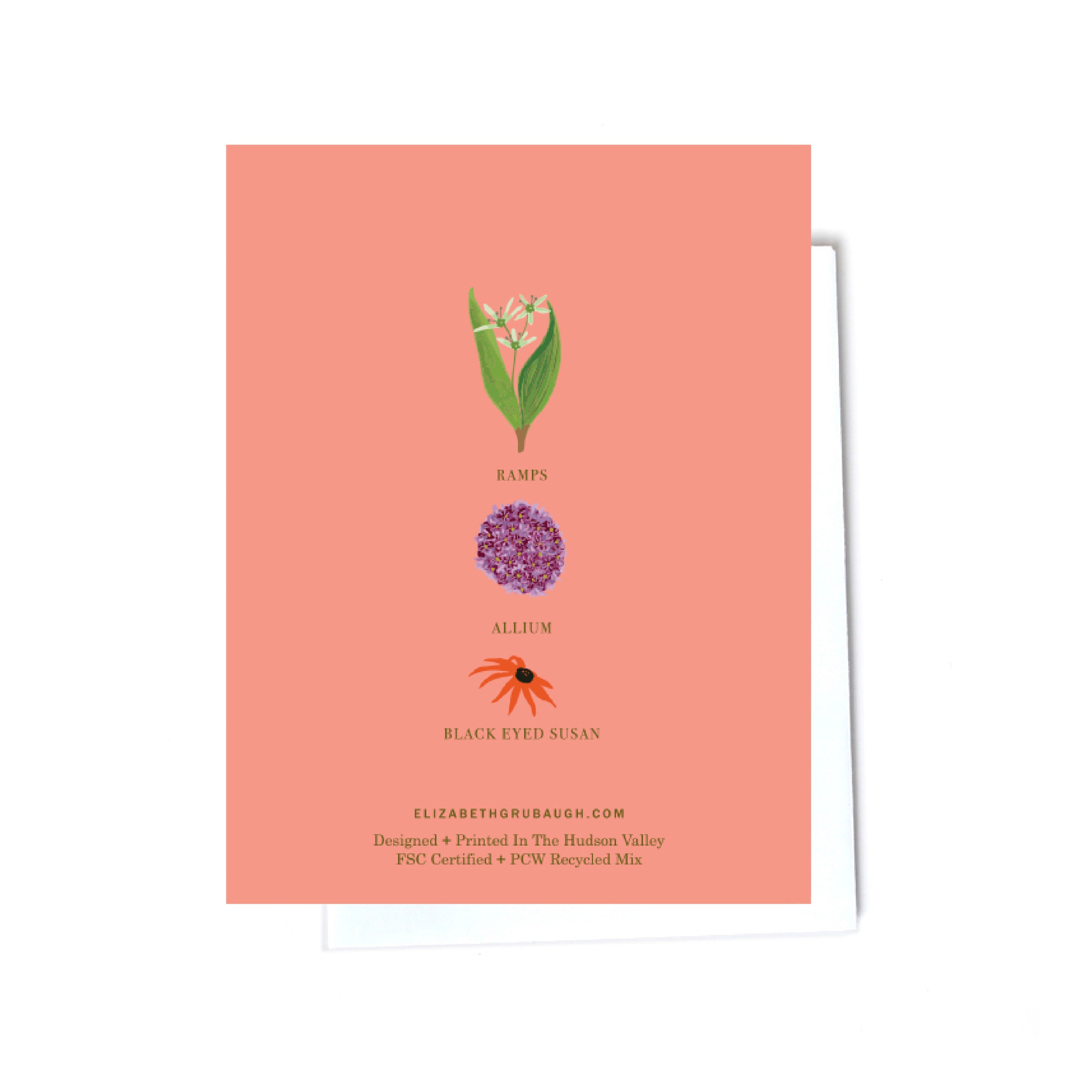 floral illustrated cards back