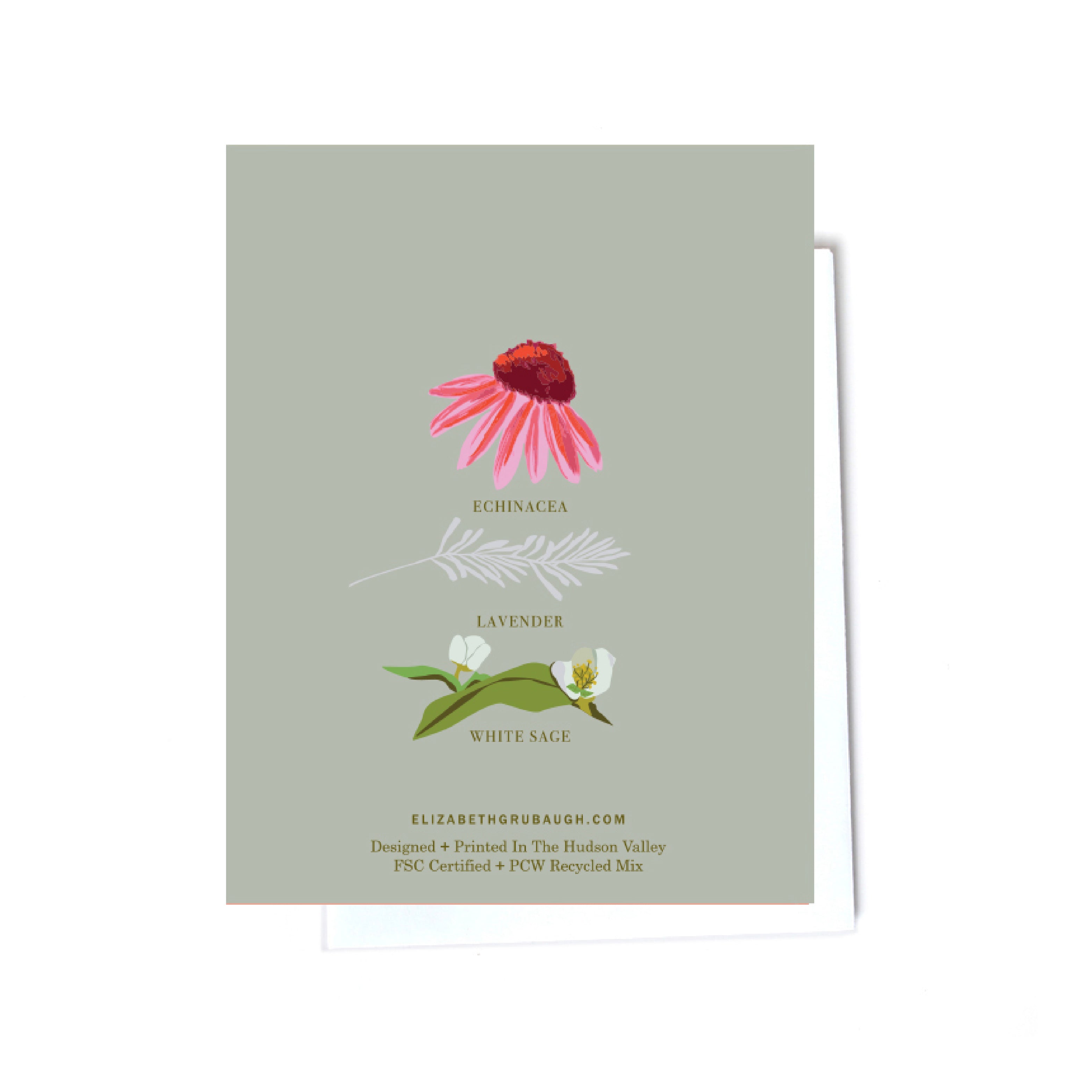 floral illustrated cards back