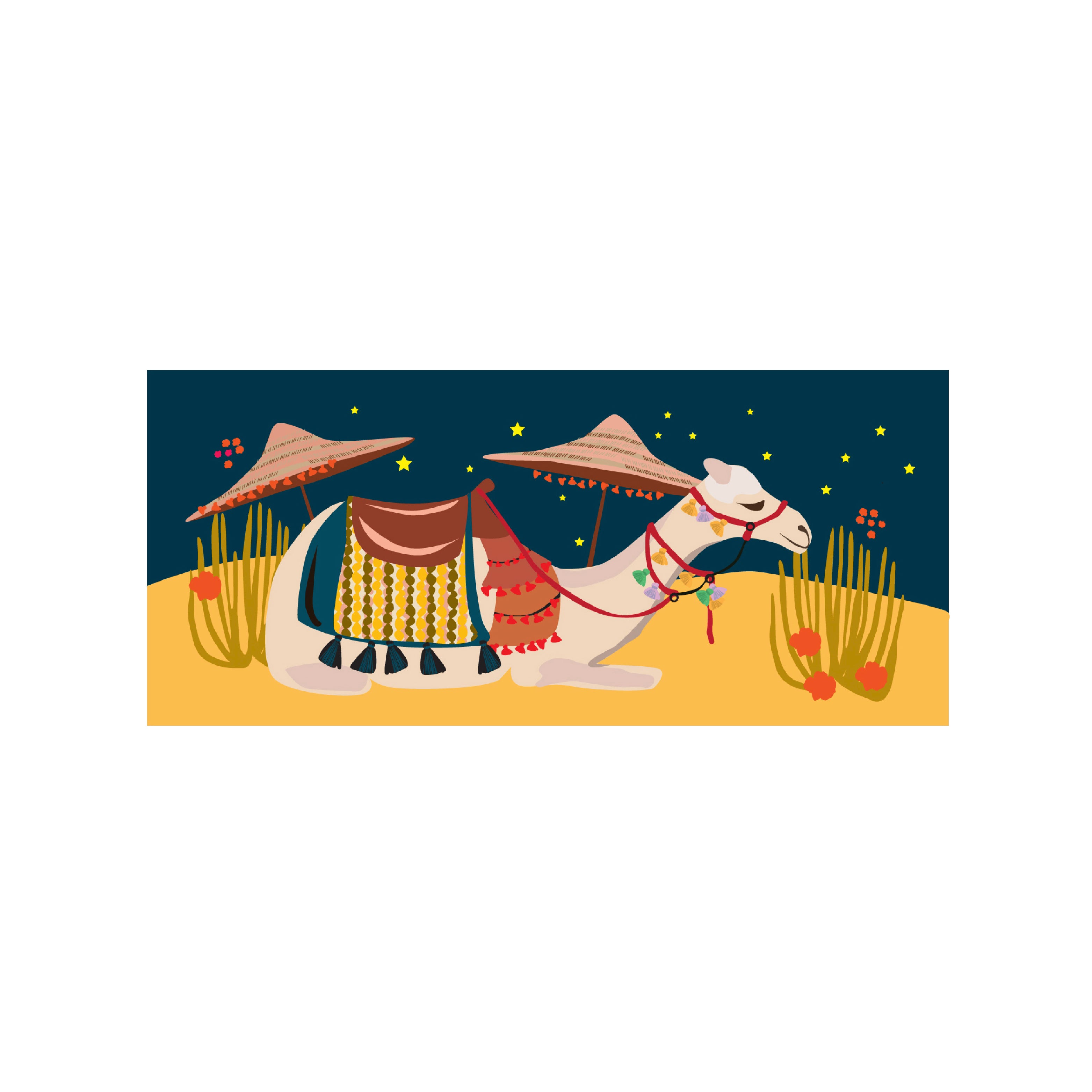 camel illustrated cards front